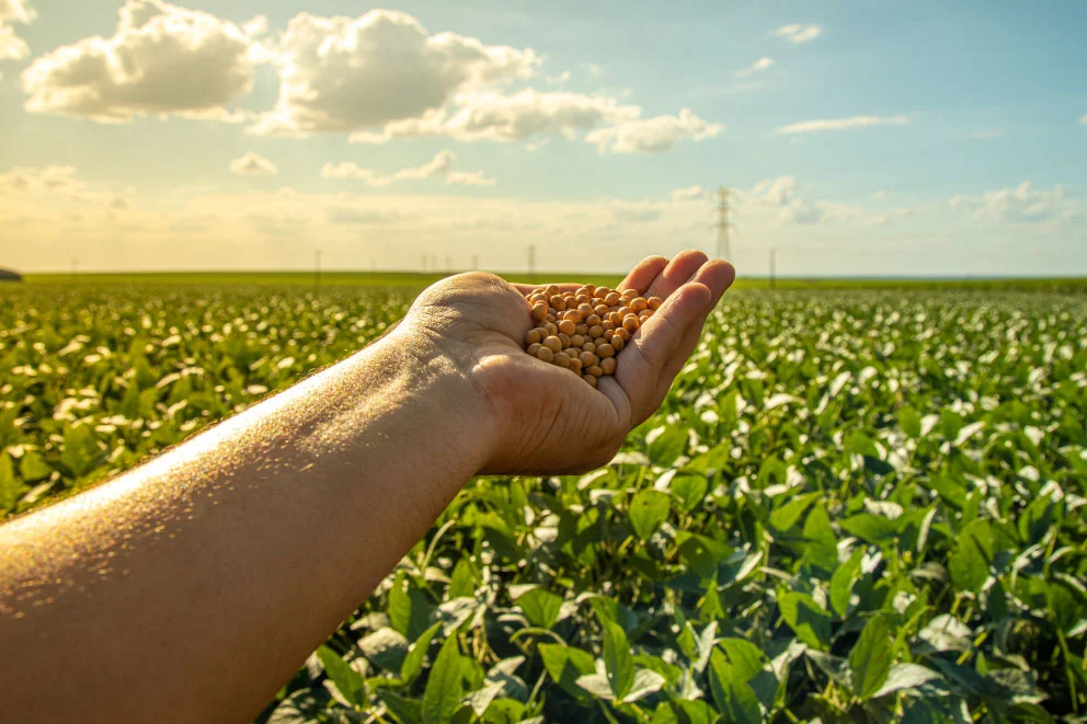 Rethinking Our Way of Living: A Sustainable Future
